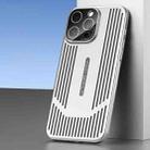 For iPhone 15 Pro Max Ice Sense Heat Dissipation Electroplating Frosted Phone Case(Silver) - 1