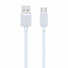 USAMS US-SJ698 USB to USB-C / Type-C 3A Striped Fast Charge Data Cable, Length:3m(Blue) - 1