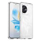 For Honor 100 Candy Series TPU Phone Case(Transparent) - 1