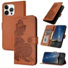 For iPhone 16 Pro Max Datura Flower Embossed Flip Leather Phone Case(Brown) - 1