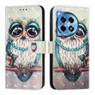 For OnePlus 12R 5G Global 3D Painting Horizontal Flip Leather Phone Case(Grey Owl) - 2