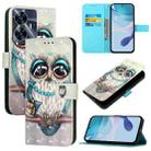 For Realme C55 4G Global / Narzo N55 3D Painting Horizontal Flip Leather Phone Case(Grey Owl) - 1