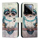 For Realme GT7 Pro 5G 3D Painting Horizontal Flip Leather Phone Case(Grey Owl) - 2