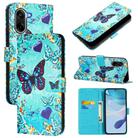 For OnePlus Ace 5 Racing Colored Drawing Pattern Plain Weave Leather Phone Case(Caring Butterfly) - 1