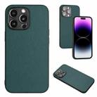 For iPhone 15 Pro Max R20 Leather Pattern Phone Single Case(Green) - 1