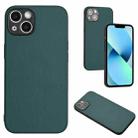 For iPhone 15 R20 Leather Pattern Phone Single Case(Green) - 1