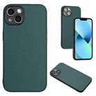 For iPhone 14 Plus R20 Leather Pattern Phone Single Case(Green) - 1