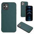 For iPhone 12 R20 Leather Pattern Phone Single Case(Green) - 1