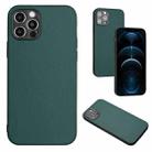 For iPhone 12 Pro R20 Leather Pattern Phone Single Case(Green) - 1