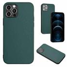 For iPhone 12 Pro Max R20 Leather Pattern Phone Single Case(Green) - 1