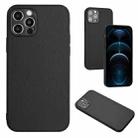 For iPhone 12 Pro Max R20 Leather Pattern Phone Single Case(Black) - 1