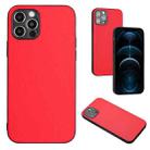 For iPhone 12 Pro Max R20 Leather Pattern Phone Single Case(Red) - 1