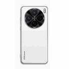 For vivo X200s AG Frosted Electroplating Acrylic Phone Case(Silver White) - 1