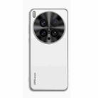 For vivo X200 Ultra AG Frosted Electroplating Acrylic Phone Case(Silver White) - 1