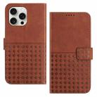 For iPhone 15 Pro Max Woven Embossed RFID Blocking Leather Phone Case(Brown) - 1