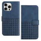 For iPhone 15 Pro Max Woven Embossed RFID Blocking Leather Phone Case(Blue) - 1