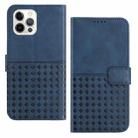 For iPhone 12 / 12 Pro Woven Embossed RFID Blocking Leather Phone Case(Blue) - 1