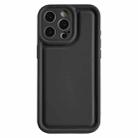 For iPhone 15 Pro Max Frosted Leather Texture TPU Phone Case(Black) - 1