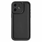 For iPhone 12 Frosted Leather Texture TPU Phone Case(Black) - 1