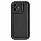 For iPhone 11 Frosted Leather Texture TPU Phone Case(Black) - 1