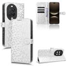 For Huawei nova 14 Pro Honeycomb Dot Texture Leather Phone Case(Silver) - 1