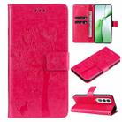 For OnePlus Nord CE4 Tree & Cat Embossed Pattern Flip Leather Phone Case(Rose Red) - 1
