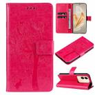 For vivo V29e Global / Y200 5G Global Tree & Cat Embossed Pattern Flip Leather Phone Case(Rose Red) - 1