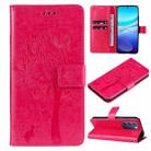 For vivo V40 SE 5G / Y100 IDN Tree & Cat Embossed Pattern Flip Leather Phone Case(Rose Red) - 1