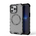 For iPhone 13 Pro Honeycomb Magnetic Ring Shockproof Phone Case(Black) - 1