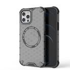 For iPhone 12 Pro Max Honeycomb Magnetic Ring Shockproof Phone Case(Black) - 1