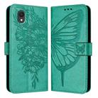 For TCL 201 Embossed Butterfly Leather Phone Case(Green) - 1