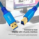 Printer / Hard Disk USB 3.0 A Male to B Male Connector Cable, Length:0.3m(Blue) - 3