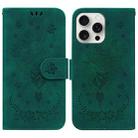 For iPhone 16 Pro Max Butterfly Rose Embossed Leather Phone Case(Green) - 1