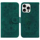 For iPhone 16 Pro Butterfly Rose Embossed Leather Phone Case(Green) - 1