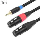 TC195BUXK107RE 3.5mm Male to Dual XLR 3pin Female Audio Cable, Length:1m(Black) - 1