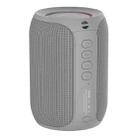 Zealot S32 Pro 15W High Power Bluetooth Speaker with Colorful Light(Grey) - 1