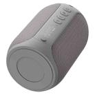 Zealot S32 Pro 15W High Power Bluetooth Speaker with Colorful Light(Grey) - 2