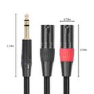 TC145YXK108RE-10 6.35mm 1/4 TRS Male to Dual XLR Male Audio Cable, Length:1m(Black) - 3