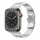 For Apple Watch SE 2023 44mm PG94 Dual-link Modified Stainless Steel Watch Band(Silver) - 1