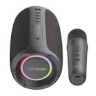 Zealot S61M RGB Rhythmic Light Karaoke Wireless Speaker, Style:Dual Mic(Black) - 2