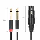 2020Y63 XLR Female to Dual 6.35mm 1/4 TRS Male Y-type Audio Cable, Length:1m(Black) - 3