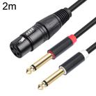2020Y63 XLR Female to Dual 6.35mm 1/4 TRS Male Y-type Audio Cable, Length:2m(Black) - 1