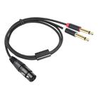 2020Y63 XLR Female to Dual 6.35mm 1/4 TRS Male Y-type Audio Cable, Length:2m(Black) - 2