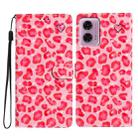 For Motorola Moto G24 3D Pattern Leather Phone Case(Pink Leopard Print) - 1