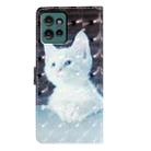 For Motorola Edge 50 3D Pattern Leather Phone Case(White Cat) - 3