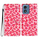 For Motorola Moto G Play 2024 3D Pattern Leather Phone Case(Pink Leopard Print) - 1