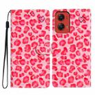 For Motorola Moto G Stylus 5G 2024 3D Pattern Leather Phone Case(Pink Leopard Print) - 1