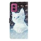 For Motorola Moto G55 3D Pattern Leather Phone Case(White Cat) - 3