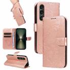 For Sony Xperia 1 VI 2024 Swallowtail Butterfly Embossed Leather Phone Case(Rose Gold) - 1