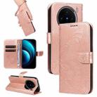 For vivo X100 5G Swallowtail Butterfly Embossed Leather Phone Case(Rose Gold) - 1